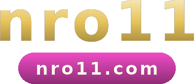 nro11 logo